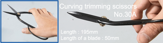 bonsai curving trimming scissors