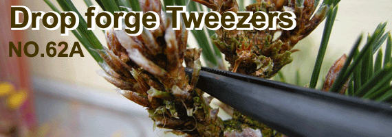 bonsai tweezers