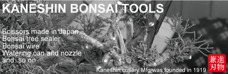 Kaneshin Bonsai Coupe-racines Extra Large No.15 fabriqué au Japon NEUF