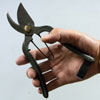 Pruning shears (Pruning scissors) [ KANESHIN ]  " Length 190mm / Weight 305g" No.96
