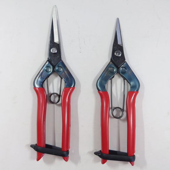 Bud cutting scissors - Double edge - (Chikamasa) "Length 185mm / Weight 200g" No.T-550.