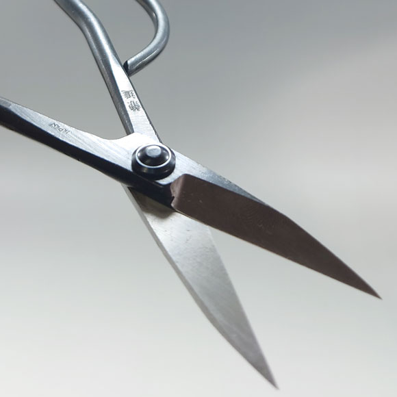 Professional Bonsai Scissors Trimming Scissors Stainless - Temu